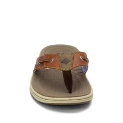 Men's Sperry, Baitfish Sandal -Shoes Sales Store 1 26071 ZM 2