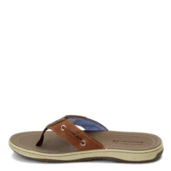 Men's Sperry, Baitfish Sandal -Shoes Sales Store 1 26071 ZM 3