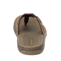 Men's Sperry, Havasu Thong Sandal -Shoes Sales Store 1 385897 ZM 4
